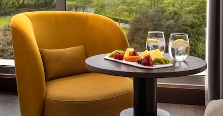 Room Superior XL Room